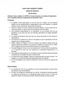 CASO FINAL BODEGAS TORRES AREAS DE NEGOCIO