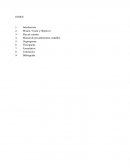 Diseño de Manual de Cuentas