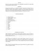Fisica 1 práctica