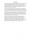 Las Normas Internacionales de Información Financiera. Las Pequeñas y Medianas Empresas