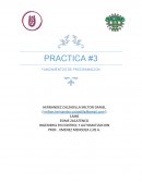 PRACTICA #3 FUNDAMENTOS DE PROGRAMACION