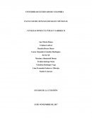 CIVILIZACIONES CULTURAS Y SABERES II El Tíbet y China