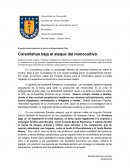 Departamento de comunicación social Periodismo