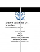 Ensayo Cazadores de microbios Microbiología