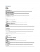 Características de Word