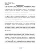 Movilización Social