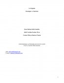 La Empatía Psicología vs. Nutrición