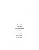 Higiene y seguridad ocupacional en minería