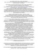 Ensayo sobre “El que quiera llegar a ser grande entre ustedes tiene que ser ministro de ustedes”