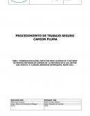 PROCEDIMIENTO DE TRABAJO SEGURO