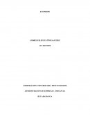 EMPRESA AMBIENTAL ECOPROPS