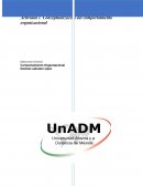 Actividad 1. Conceptualización del comportamiento organizacional