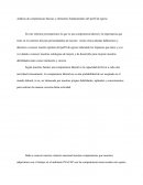 Análisis de competencias básicas y elementos fundamentales del perfil de egreso