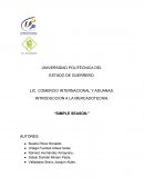 Cual es la Creación de un producto