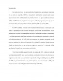 Acido nucleicos. Introducción