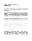 Plan de exportación de nuez a China