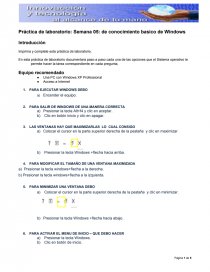 Práctica de laboratorio de conocimiento basico de Windows. Página 1
