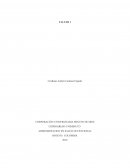 Administracion en salud ocupacional Creación de la empresa por dos o más personas