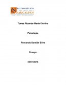 El gran Resumen yo del mexicano