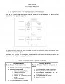 Factor humano, seguridad ocupacional