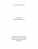 Evaluación y Acreditación - Programa de fundamentos de matemáticas
