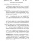 MÉTODOS INDIRECTOS DE EXPLORACIÓN DEL TERRENO