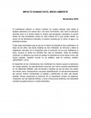 Impacto humano en el medio ambiente
