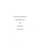 Primera ley termodinámica ensayo