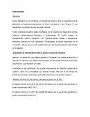 Estudio de Mercado Grupo Altozano