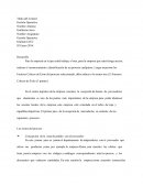 Fundamentos calculos