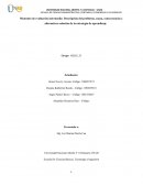 TRANSPORTES SANDONA S.A.