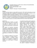 Mesa #4 Practica #1 Microscopia Y Asociaciones Biologicas