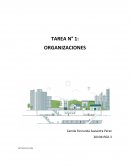 TAREA N° 1: ORGANIZACIONES