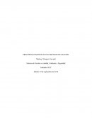 PRINCIPIOS COMUNES DE LOS SISTEMAS DE GESTION Sistema de Gestión en calidad, Ambiente y Seguridad
