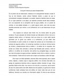 Una gran historia que pasa desapercibida