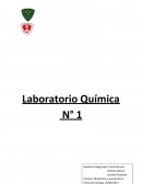 Laboratorio Química N° 1