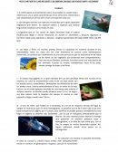 Seres vivos Unidad 1