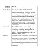 Evidencia 6 Pruebas de Laboratorio