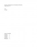 Economía y administración en la sociedad de la información