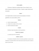 Planteamiento aceites españoles