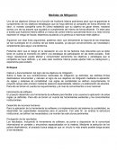 Medidas de Mitigación . Uno de los objetivos últimos de la función de Auditoría