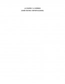 LA CIGARRA Y LA HORMIGA