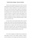 Guillermo Merren Gallegos - Resumen individual.