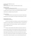 INVESTIGACIÓN SOBRE REGLAS APA