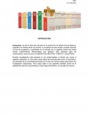 Ejemplo de la Posibilidad de compran de un cigarrillo herbal