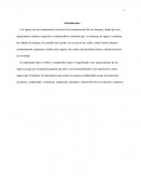 ¿En qué consiste la función simbólica y que les permite los seres humanos?