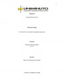 Diagnostico El valor del servicio desde la seguridad ocupacional