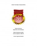 MUDAS Lean Manufacturing