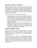 Degradacion por proteasomas