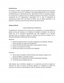 PLAN DE BENEFICIOS E INCENTIVOS